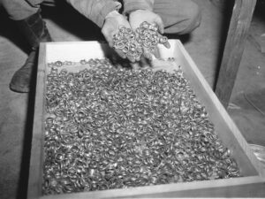 Hands holding gold rings above a tray filled with jewelry.